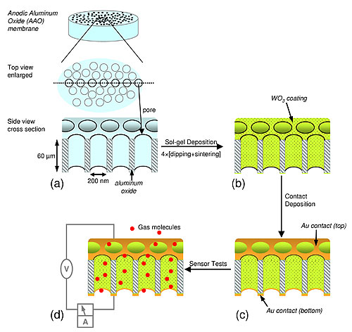 schematic of nanotube sensor