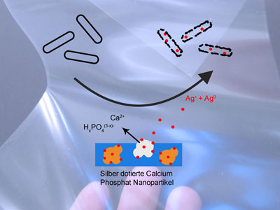 The self-disinfecting action of the silver and calcium phosphate nanoparticles applied to the plastic film