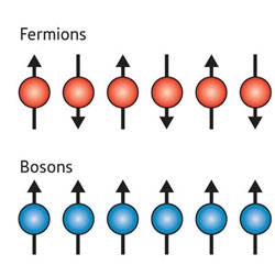 The spins on a chain of fermions (top) point in alternating directions, whereas the spins on a chain of bosons (bottom) all point in the same direction