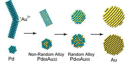 Schematic side view (top) and cross section (bottom) of as-made Pd, Pd68Au32, Pd45Au55, and Au nanomaterial during the galvanic replacement reaction