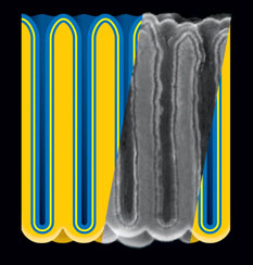 Electrostatic nanocapacitors formed in nanoporous anodic aluminum oxide (darker yellow) film by sequential atomic layer deposition of metal (blue), insulator (yellow), and metal. Insert: cross-section of actual structure, represented as rescaled scanning electron micrograph
