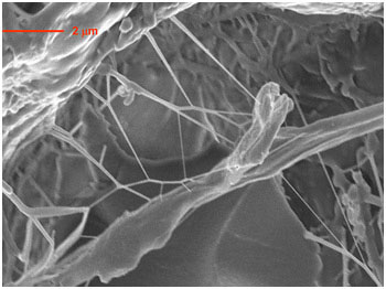 Carbon nanotubes boost structural integrity of composites