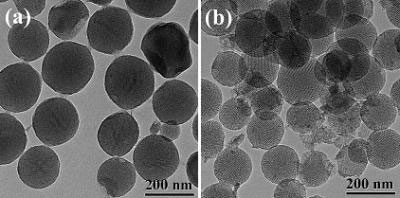 The sponge-like mesoporous nanoparticles developed by researchers at Ames Laboratory to harvest biofuel oils from algae without harming the organisms