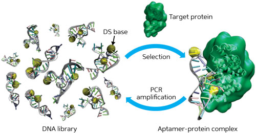 generation strategy for artificial base-containing DNA aptamers