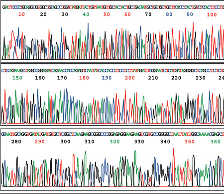 A genome sequence trace
