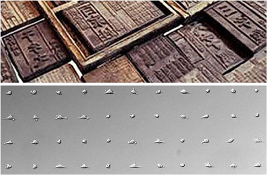 Cells printed in a grid pattern by block cell printing technology (bottom) and woodblocks used in ancient Chinese printing