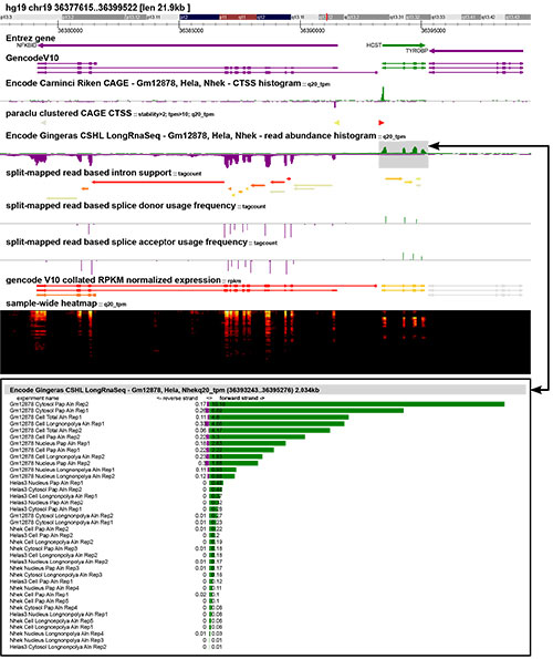 Overview of the ZENBU genome browser interface