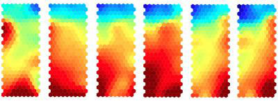 Heat Maps Showing Gene Expression Changes