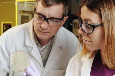 Associate Professor Tom Barker and Research Scientist Ashley Brown examine bacteria growing on a plate