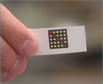 synthetic gene networks on pocket-sized slips of paper