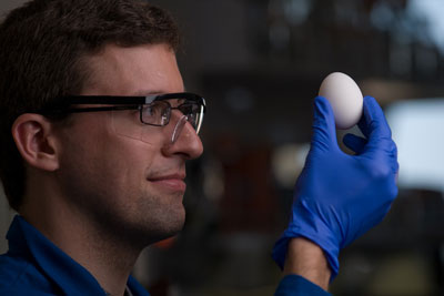 scientist holding an egg
