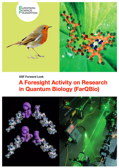 A Foresight Activity on Research in Quantum Biology