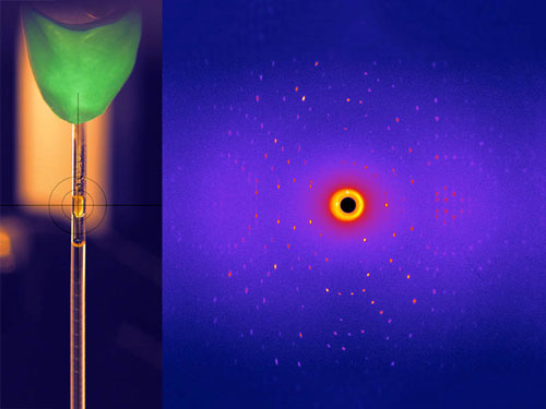 Glycosidase crystal (left) with a typical diffraction image resulting from neutron scattering at the BioDiff instrument