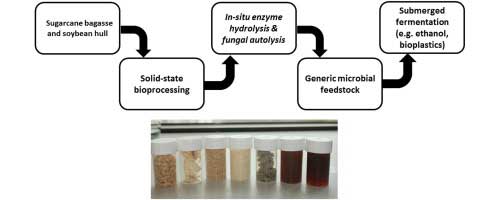 Production of a generic microbial feedstock for lignocellulose biorefineries through sequential bioprocessing