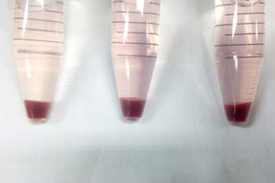 Red blood cells grown from stem cells