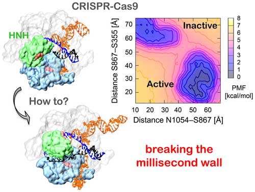 CRISPR-Cas9 conformational activation, as revealed from Gaussian accelerated Molecular Dynamics (GaMD) simulations