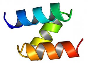 A model of a computationally designed mini-protein from a large-scale study to test structural stability