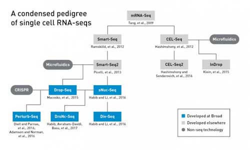 A Condensed Pedigree of Single-cell RNA Seqs