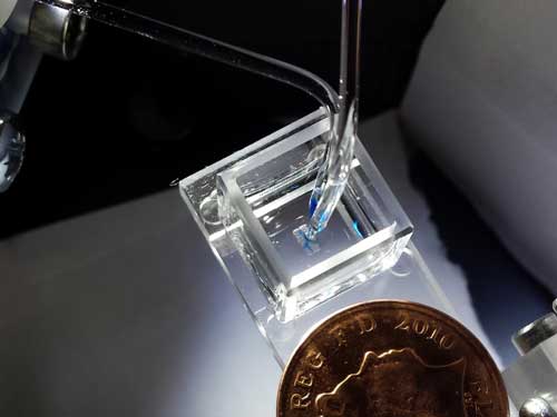 3D droplet Bioprinter
