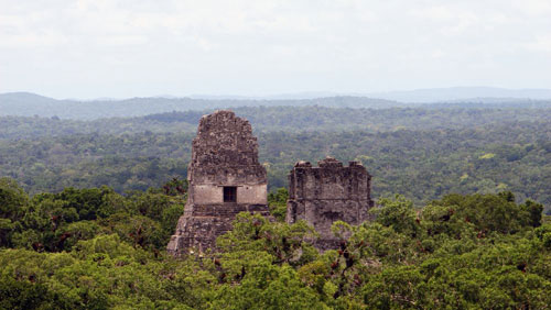 The ruins of ancient city Tikal