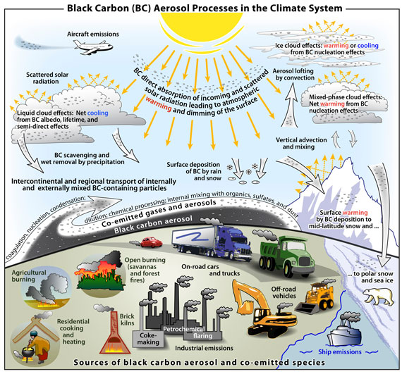 primary black carbon emission sources and the processes that control the distribution of black carbon in the atmosphere