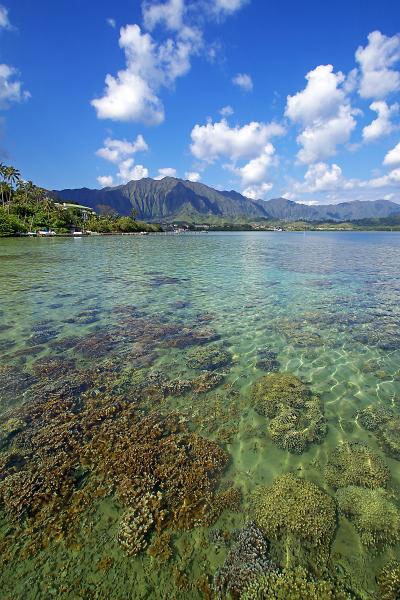 This is the watershed overseeing coral reefs, Kane'ohe Bay, Oahu, Hawai'i