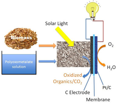 solar-induced direct biomass-to-electricity hybrid fuel cell