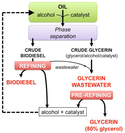 eliminating biodiesel producers' hazardous wastes