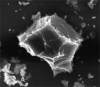 environmental scanning electron microscopy image of an ice crystal
