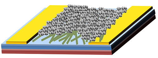 Feldeffekt-Transistor mit Halbleiterschicht aus einem Tabakmosaikvirus