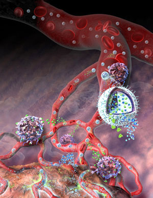 nanolipogel administering its immunotherapy cargo