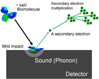 Difference between conventional ion detection and superconducting ion detection