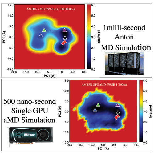 Images showing the conformational space explored by the protein in the 1ms conventional MD Anton simulation, and the 500ns aMD simulation