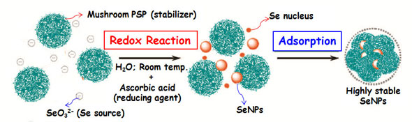 Preparation of highly stable selenium nanoparticles under a simple food-grade, environmentally friendly redox system 