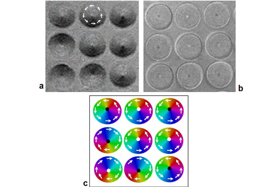 MTXM images of in-plane (a) and out-of-plane (b) magnetic components in an array of permalloy nanodisks