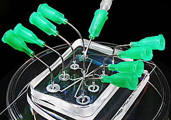 microfluidic lab on a chip device