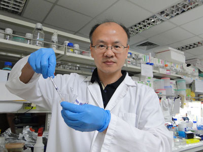Dr. Hsieh in his lab