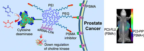PSMA-Targeted Theranostic Nanoplex for Prostate Cancer Therapy