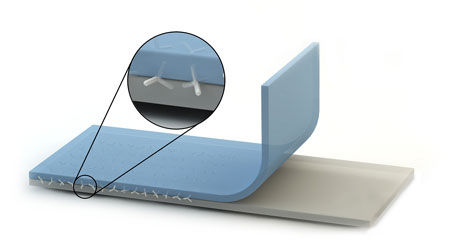 two polymer layers are stapled from the inside using nano crystals made of zink oxide