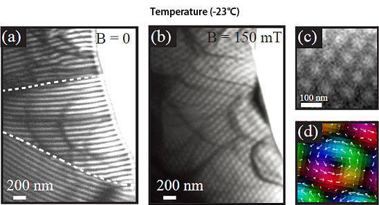 Magnetic structure observed by Lorentz transmission electron microscopy