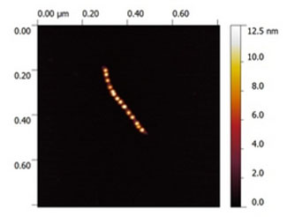 DNA nanotube 400 nm long, conjugated with 10nm-long silver nanoparticles