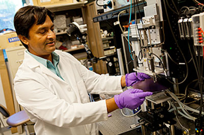 Saif Islam, a UC Davis engineering professor
