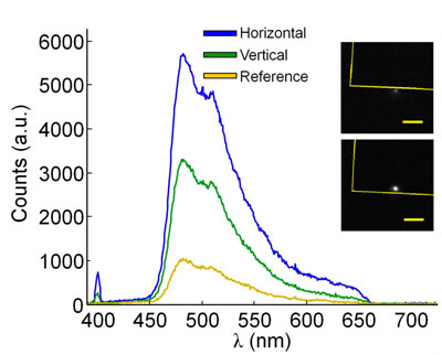 Experimentally collected spectra from the trapped fluorescent microbead-BNA system