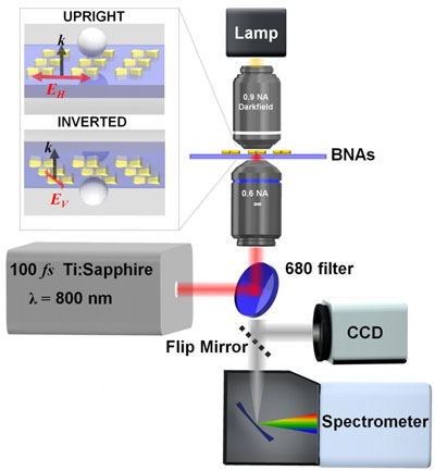 Experimental setup schematic showing laser source, microscope, and imaging detector and spectrometer