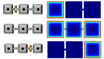 Transport of Majorana particles by switching gate voltages at the constriction junctions