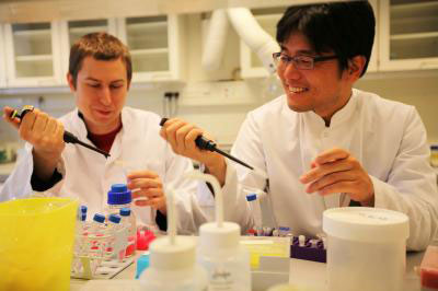 Chemistry researcher Tom Vosch and plant molecular biologist Seong Wook Yang