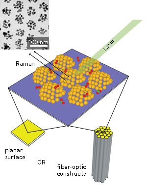 Schematic of a nanocluster SERS substrate in planar chip and fiber-optic configurations