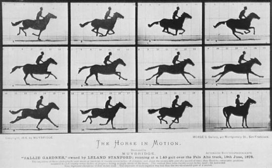 Eadweard Muybridge's famous Horse in Motion marked the beginning of high-speed photography