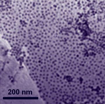 cobalt nanoparticles attached to graphene