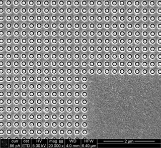 Optical microscope image of a gold metamaterial sample